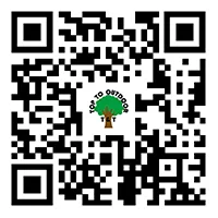 QR коды